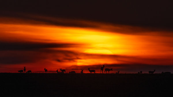 Megszülettek a VM májusi fotópályázatának eredményei