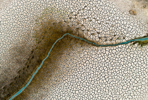 Kalandozások nemzeti parkjainkban – Körös-Maros Nemzeti Park II.