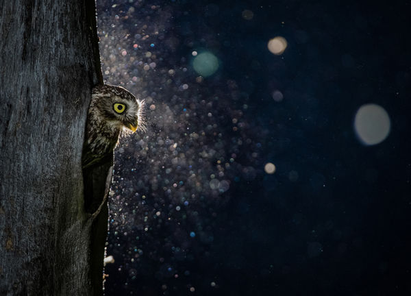 A VM 2021 július havi pályázatainak eredményei