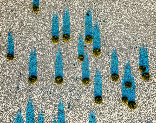 Furcsa jelenség: Kardoskúton késlekedtek a sziki ballagófüvek