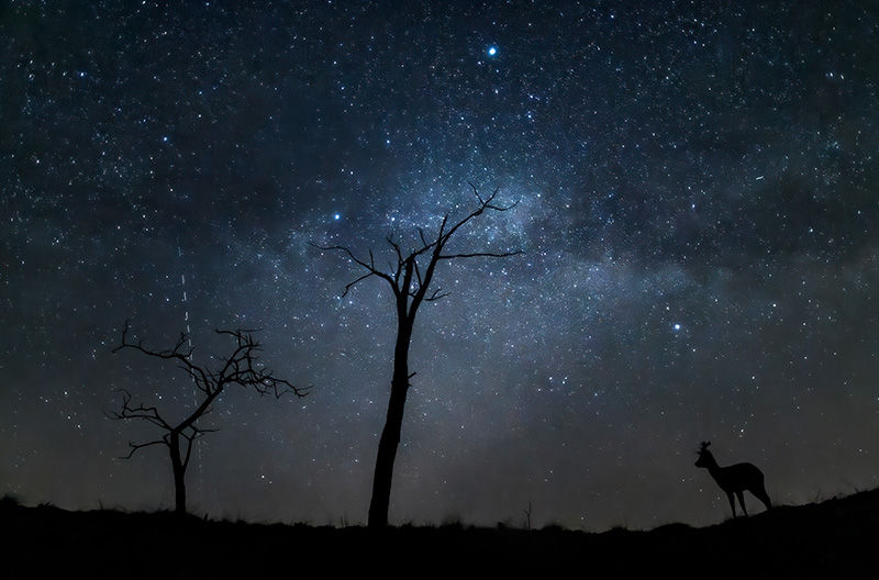 Megszülettek a VM szeptemberi fotópályázatának eredményei