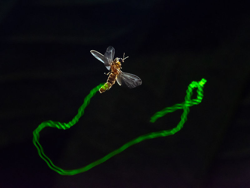 Megszülettek a VM júniusi fotópályázatának eredményei