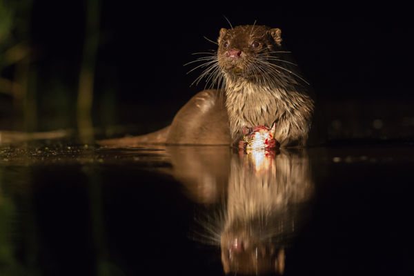 &#8222;Egy szabadabb élet felé&#8230;&#8221;