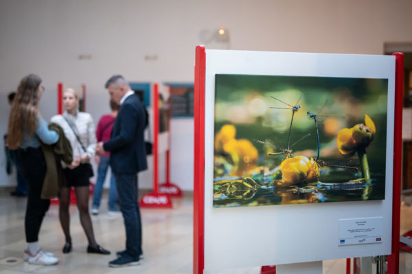 Vizes élőhelyeink címmel nyitotta meg kiállítását az UNESCO Magyar Nemzeti Bizottság és a Varázslatos Magyarország