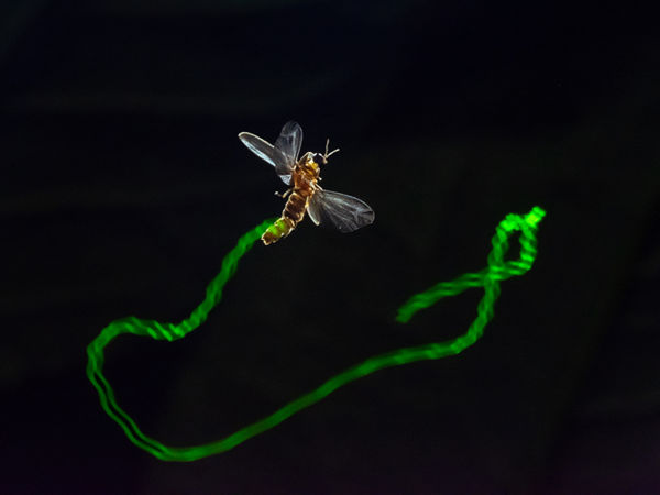 Megszülettek a VM júniusi fotópályázatának eredményei