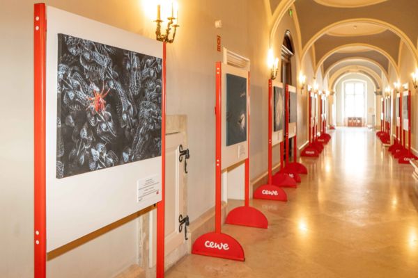 A Varázslatos Magyarország és a CEWE kiállítása a Gödöllői Királyi Kastélyban