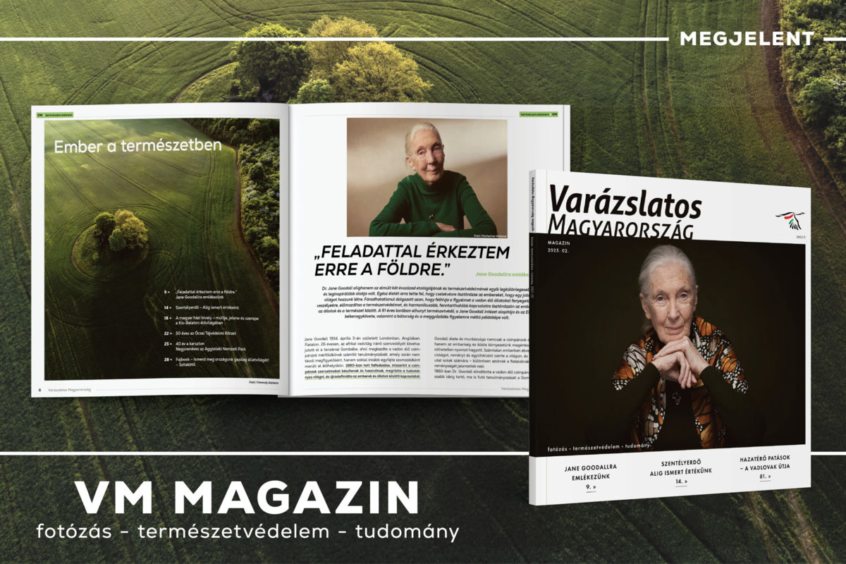 „Feladattal érkeztem erre a földre.” – Megjelent a VM magazin új száma