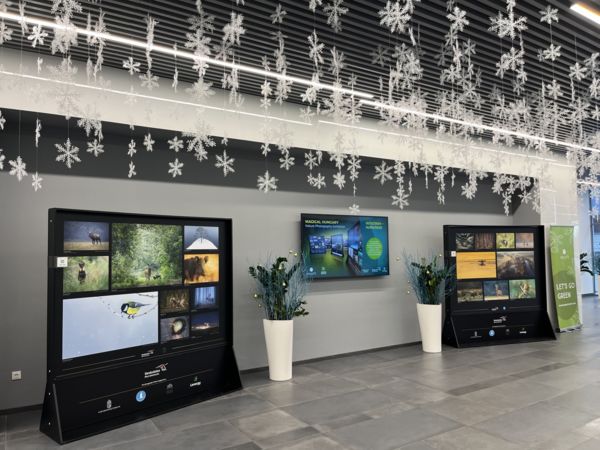 A természet és az informatika találkozása