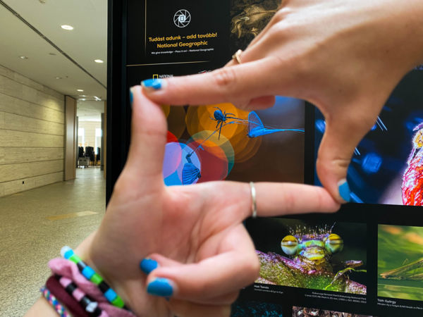 A magyar természetfotó nagydíjának legszebb képei a Virágkarneválon