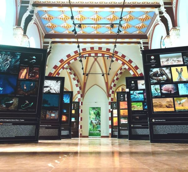 A magyar természetfotó nagydíjának portfóliója a Vajdahunyad várába érkezett