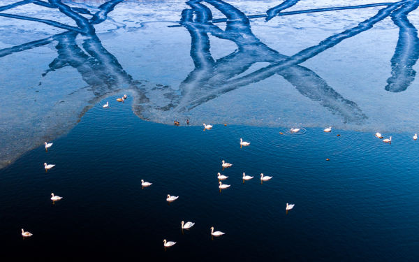 Lihogók: récék által fenntartott lékek a befagyott vizeken