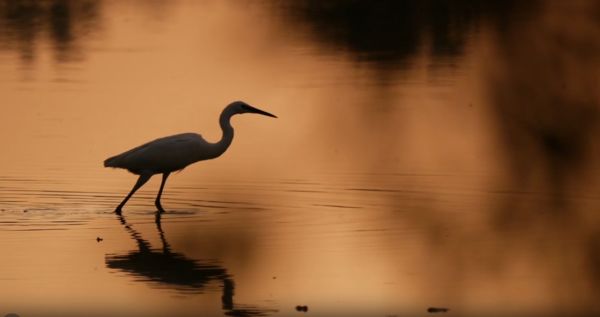 Mozgásban a természet