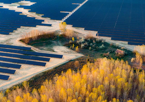 Az ember hatása a természetre