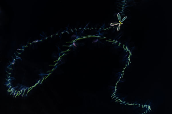 Megszülettek a VM augusztusi fotópályázatának eredményei