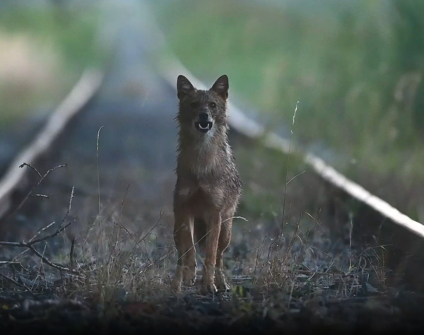 Mozgásban a természet