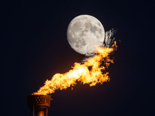 Az ember hatása a természetre