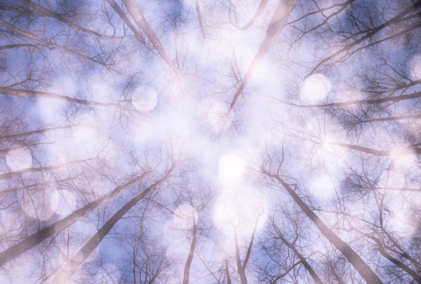 Természeti szépségek