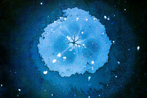 Természeti szépségek