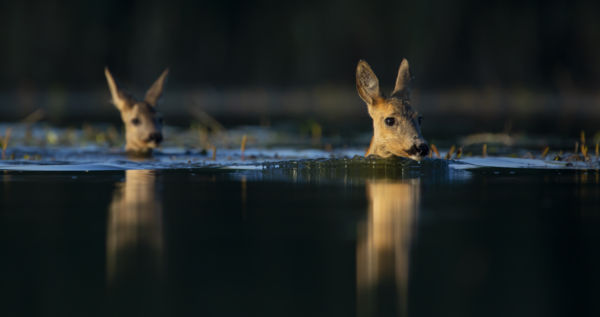 Perspektívák - National Geographic