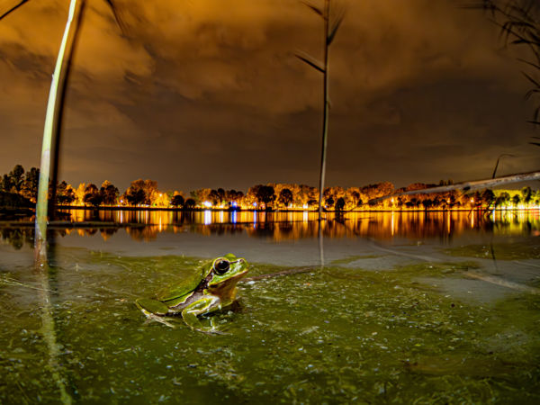 Az ember hatása a természetre