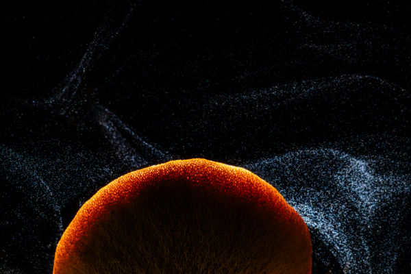 Természeti szépségek