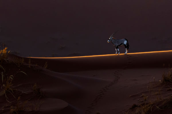 Képek a nagyvilágból