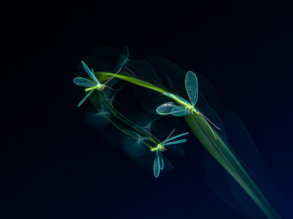 Megszülettek a VM márciusi fotópályázatának eredményei