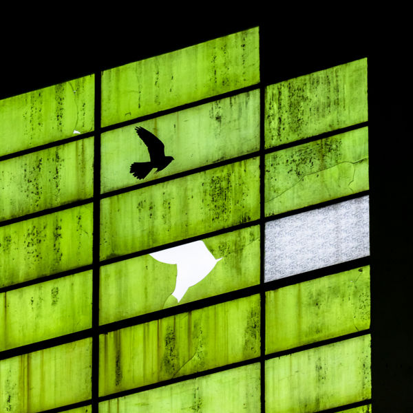 Az ember hatása a természetre