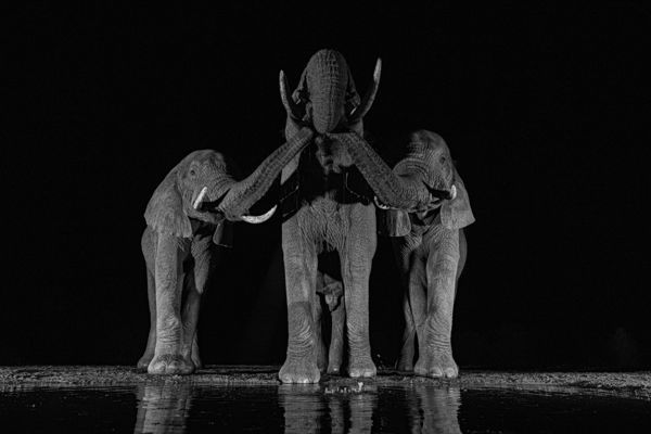 Képek a nagyvilágból