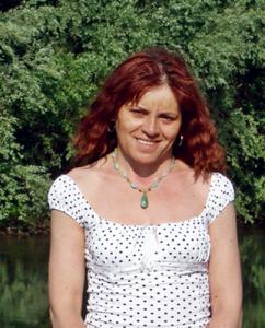 Magyar szürke marha